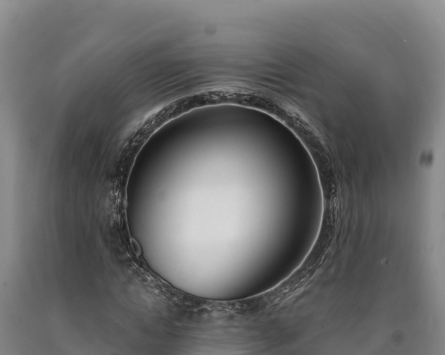 X0000090740822200707271422