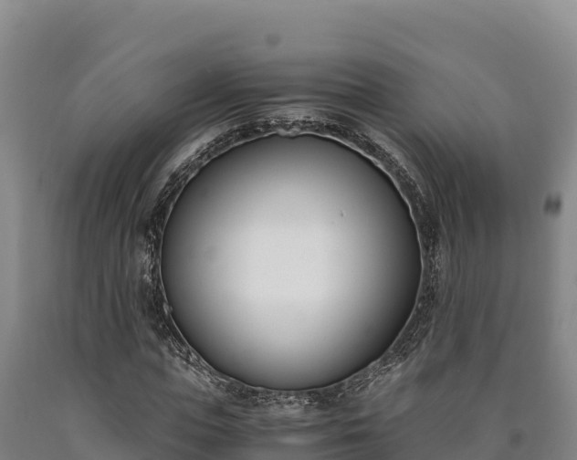 X0000090740823200707271422