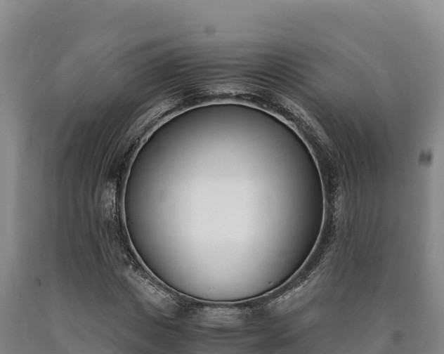 X0000090740825200707271422