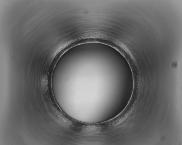 X0000090740826200707271422