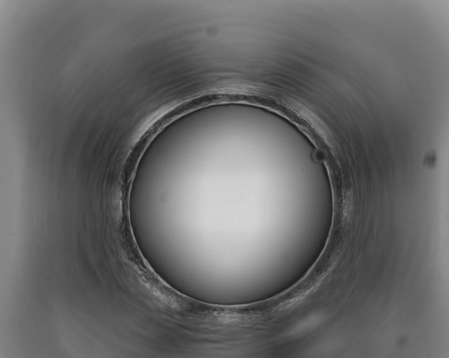 X0000090740829200707271422