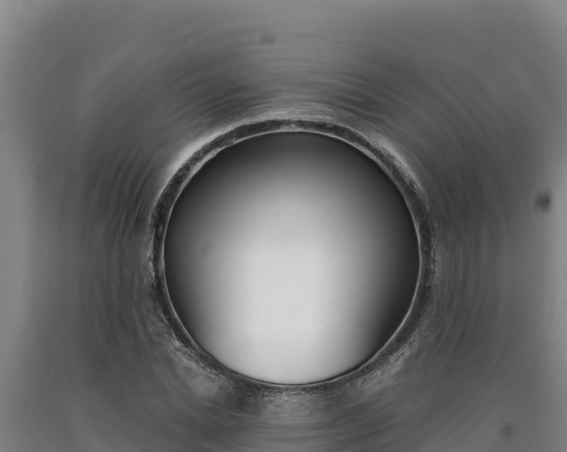 X0000090740830200707271422