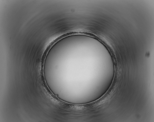 X0000090740831200707271422