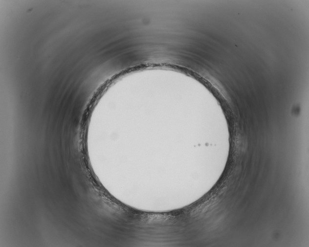 X0000090740832200707271422