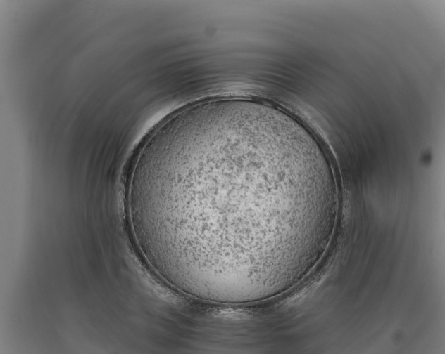 X0000090740835200707271422