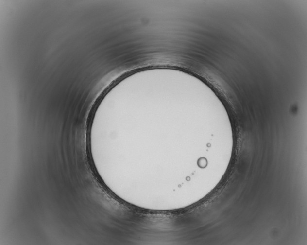X0000090740836200707271422
