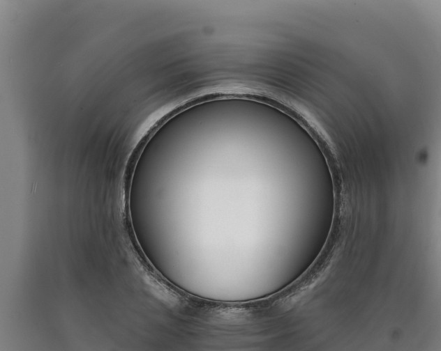 X0000090740837200707271422