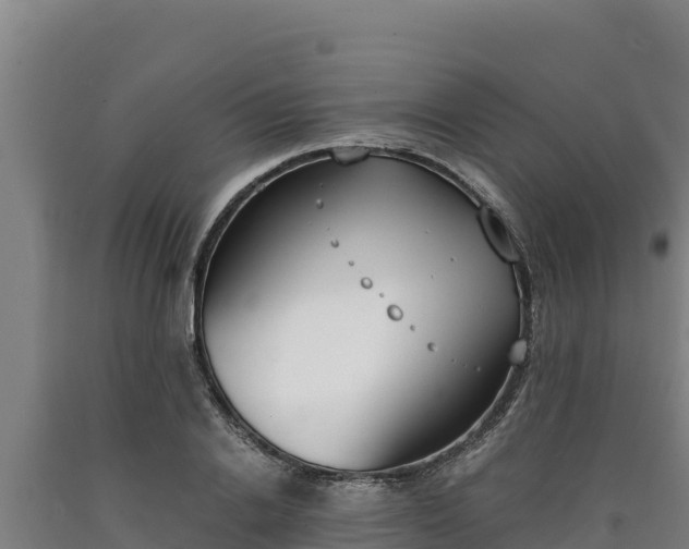X0000090740838200707271422