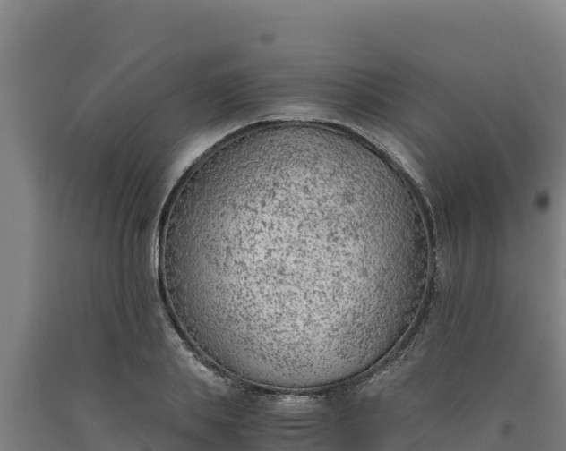 X0000090740839200707271422