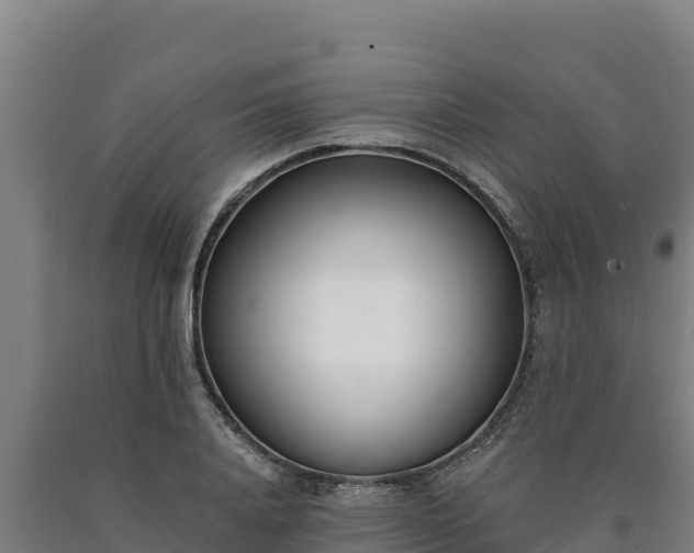 X0000090740840200707271422