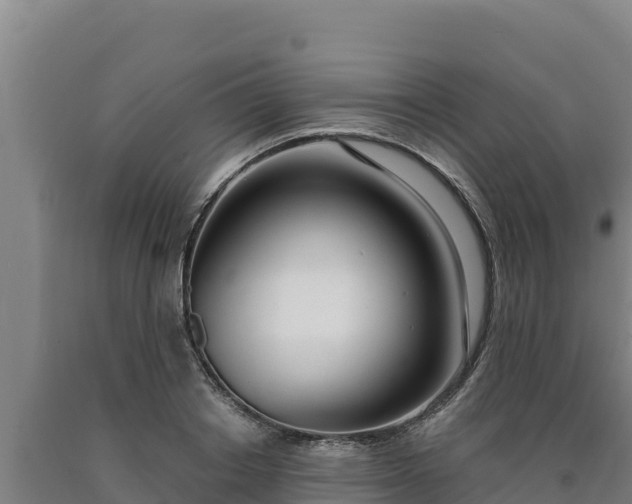 X0000090740842200707271422