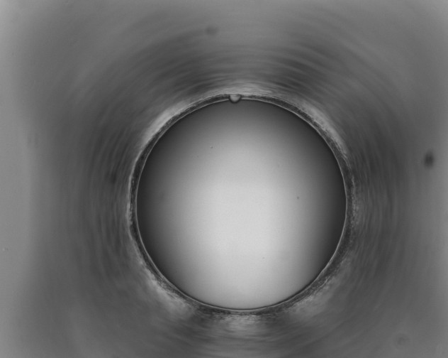 X0000090740845200707271422