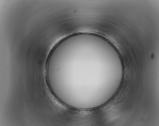 X0000090740848200707271422