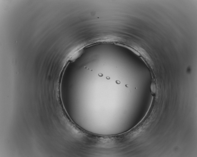 X0000090740850200707271422