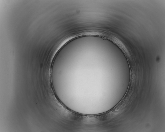 X0000090740852200707271423