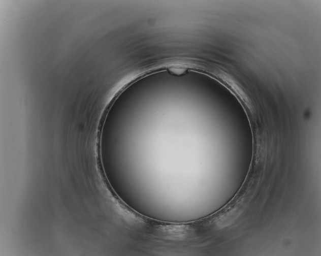 X0000090740853200707271423