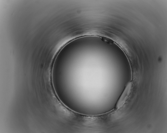 X0000090740854200707271423