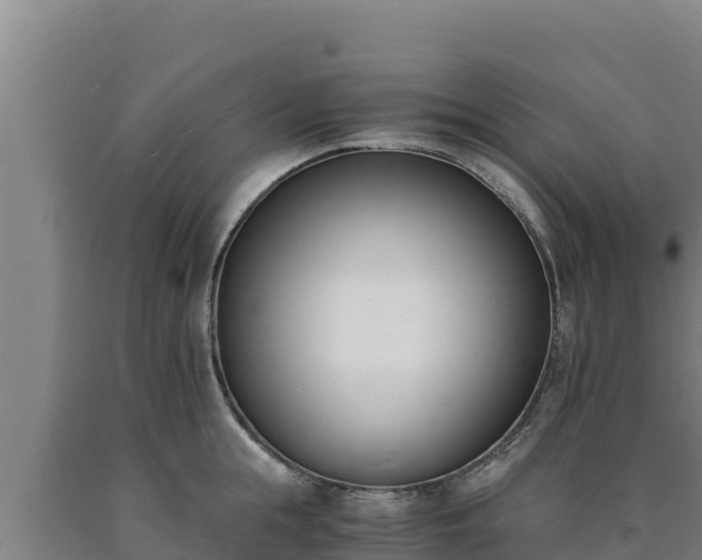 X0000090740855200707271423