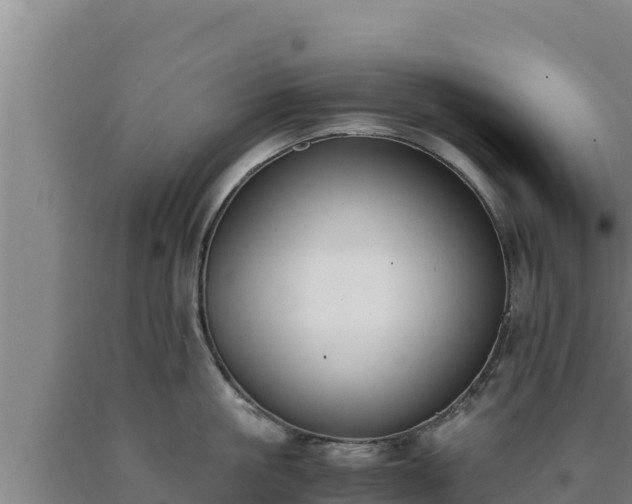 X0000090740861200707271423