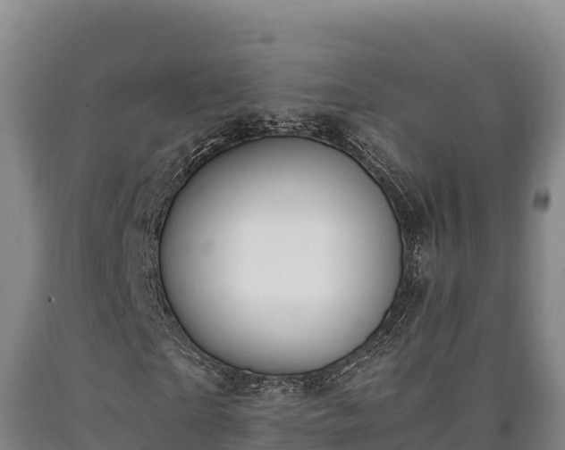 X0000090740865200707271422