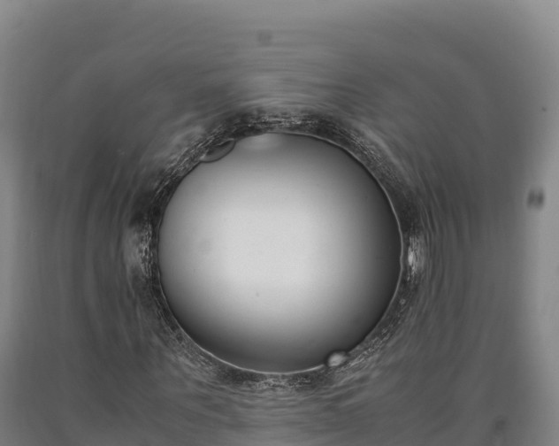 X0000090740867200707271422