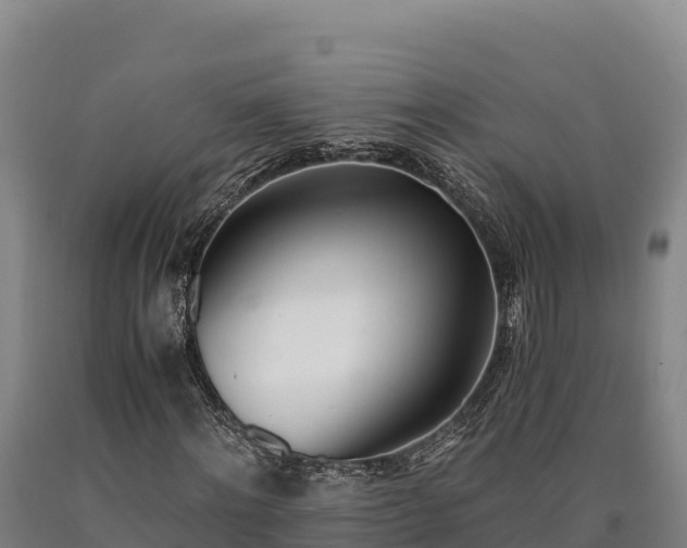 X0000090740868200707271422