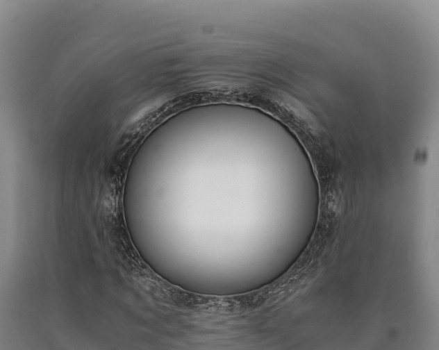 X0000090740869200707271422