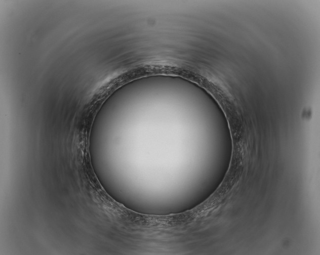 X0000090740870200707271422