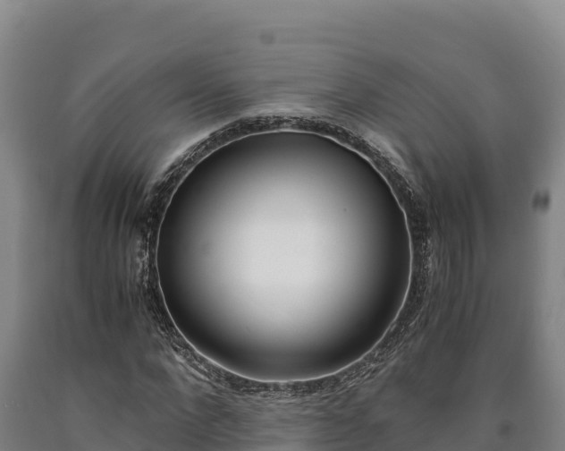 X0000090740872200707271422