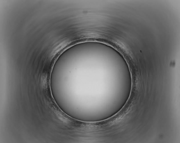 X0000090740873200707271422