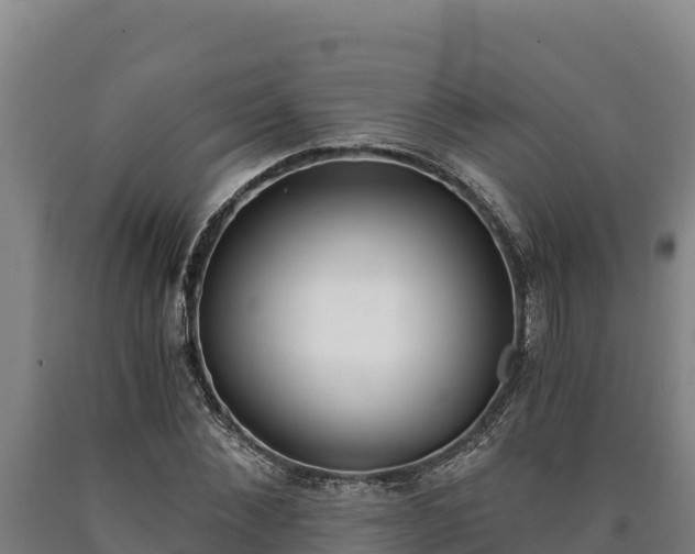 X0000090740876200707271422
