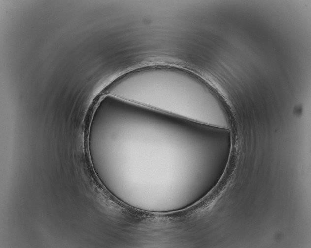 X0000090740877200707271422