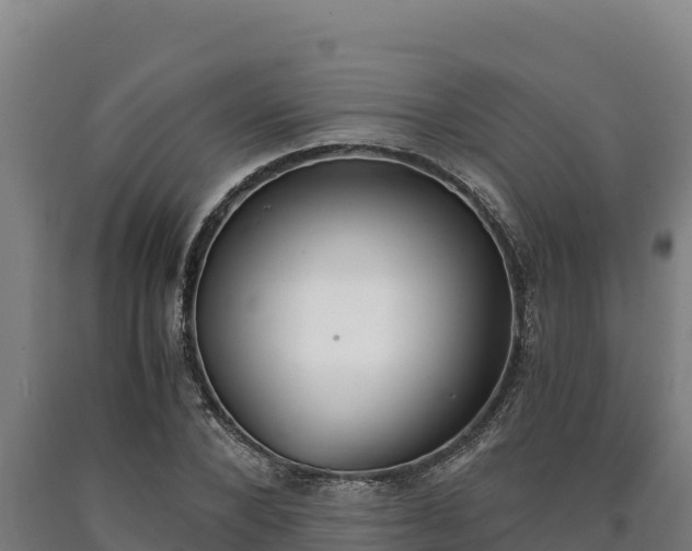 X0000090740880200707271422