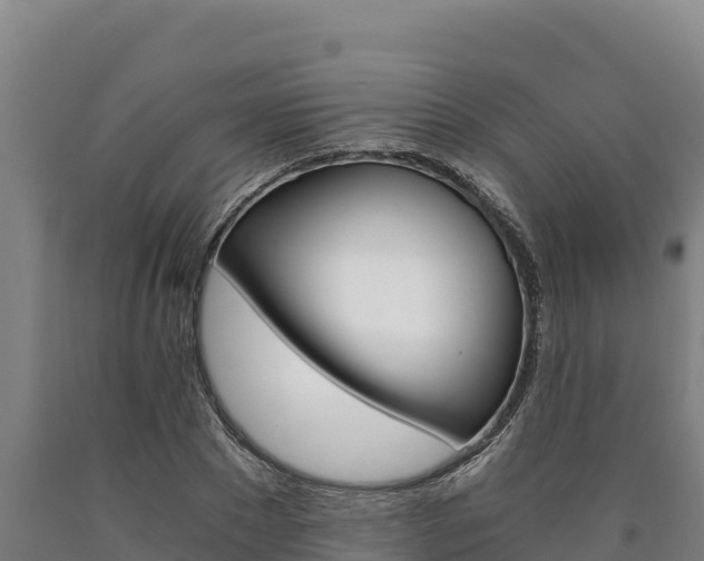 X0000090740881200707271422