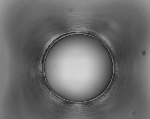 X0000090740883200707271422