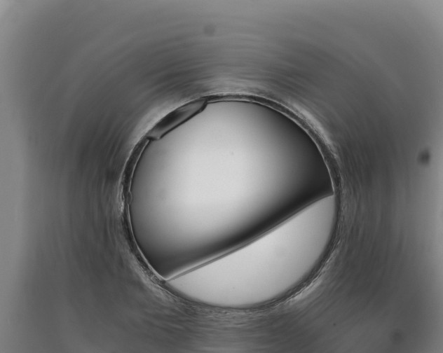 X0000090740885200707271422