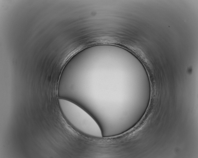 X0000090740889200707271422