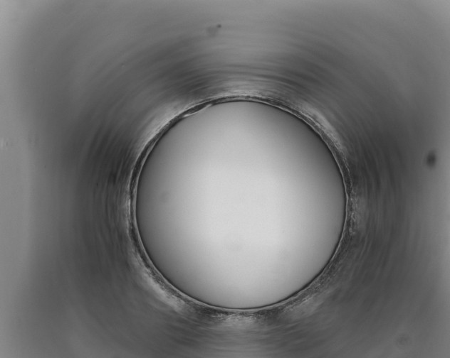 X0000090740890200707271422