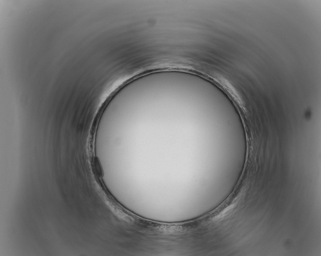 X0000090740893200707271422
