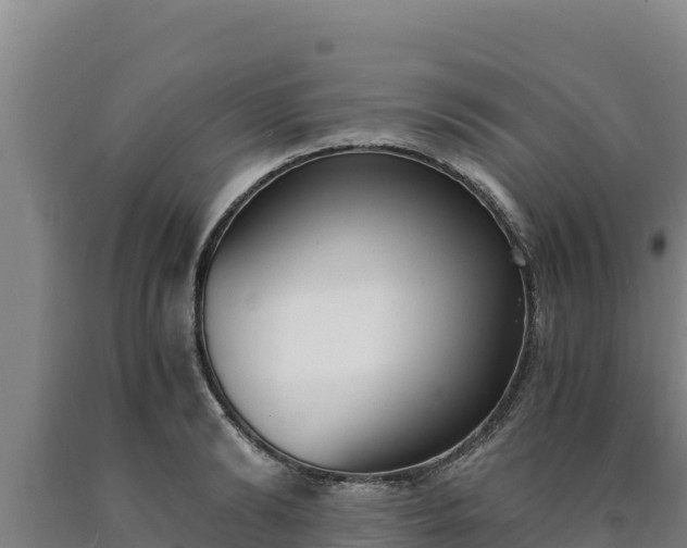 X0000090740894200707271422