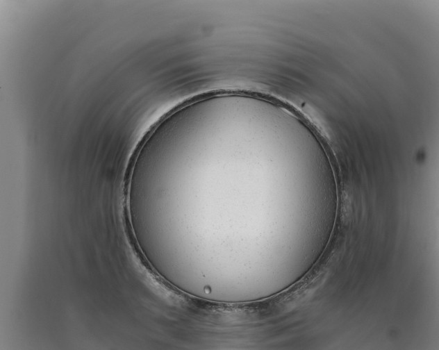 X0000090740895200707271422