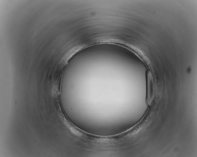 X0000090740897200707271422