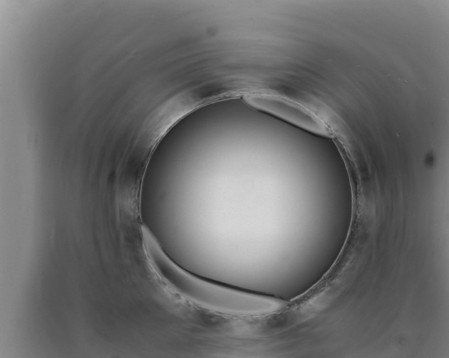 X0000090740905200707271422