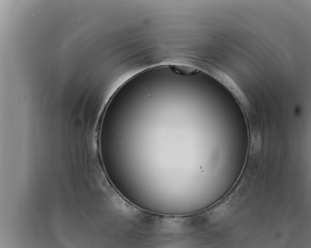 X0000090740908200707271422