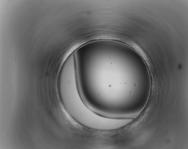 X0000090740909200707271422