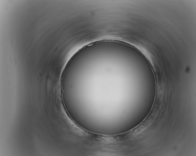 X0000090740911200707271422