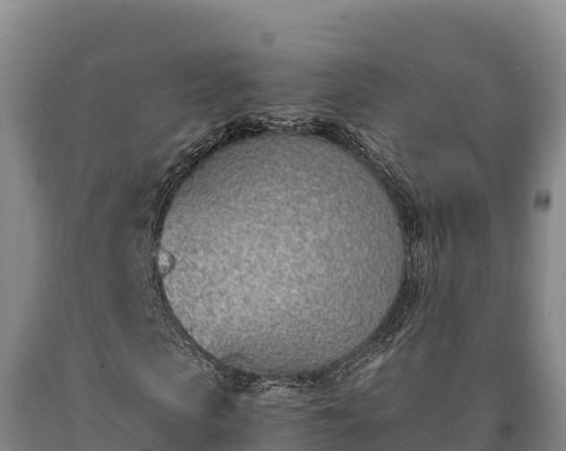 X0000090740913200707271421