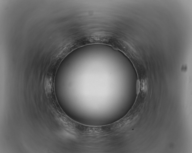 X0000090740915200707271421