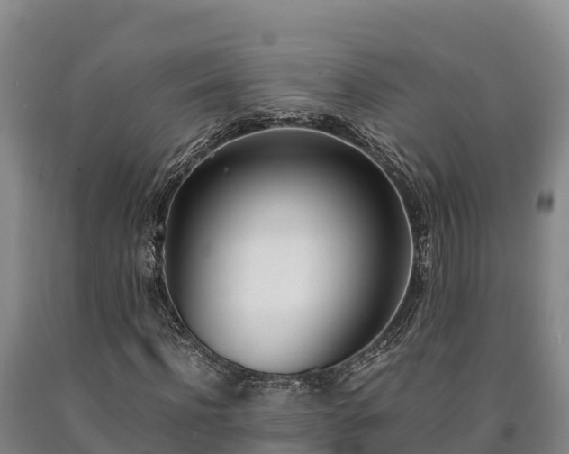 X0000090740916200707271421