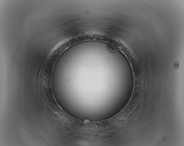 X0000090740919200707271421